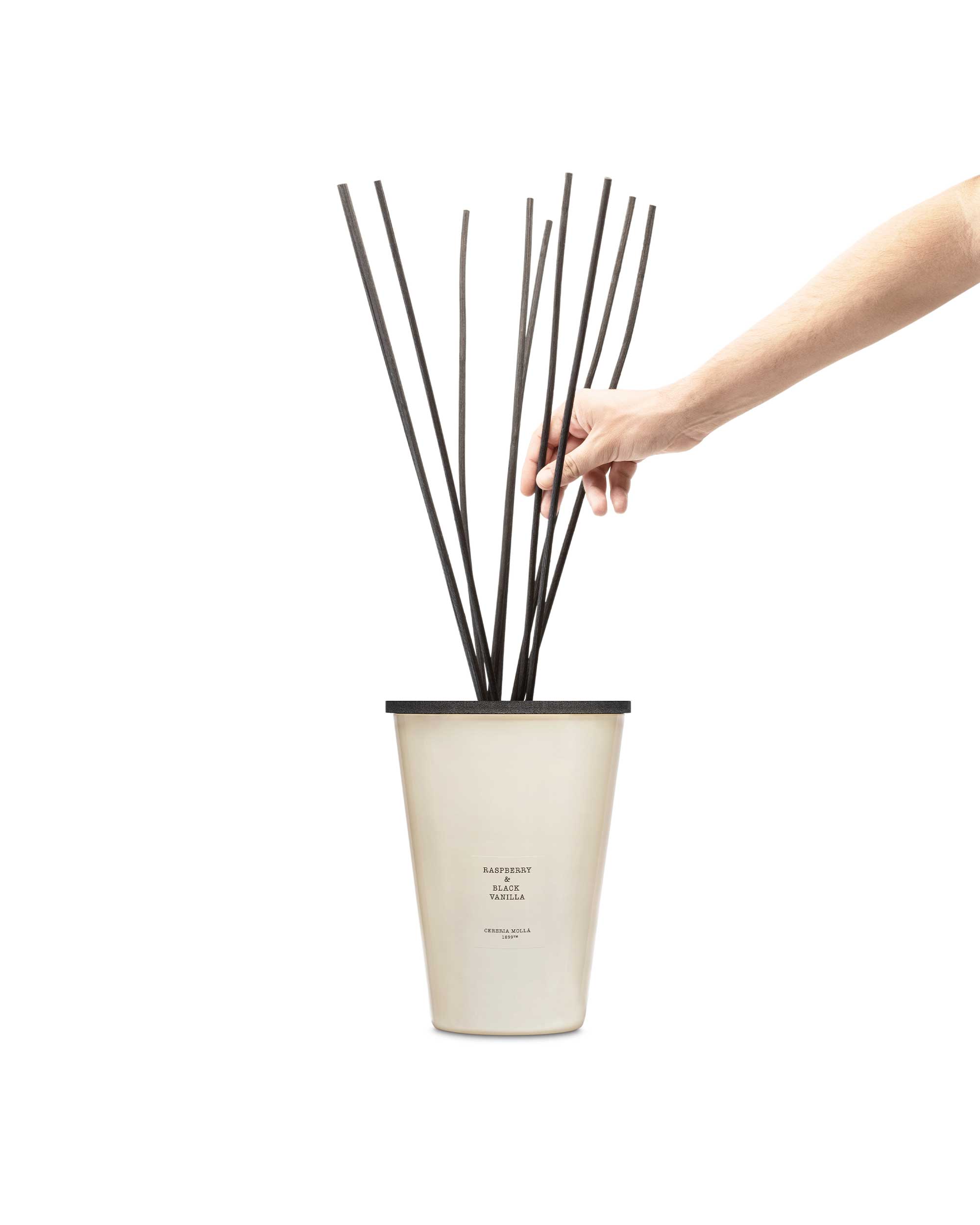 Raspberry & Black Vanilla 3000ml Reed Diffuser