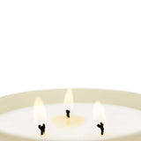 Black Orchid & Lily XL Candle