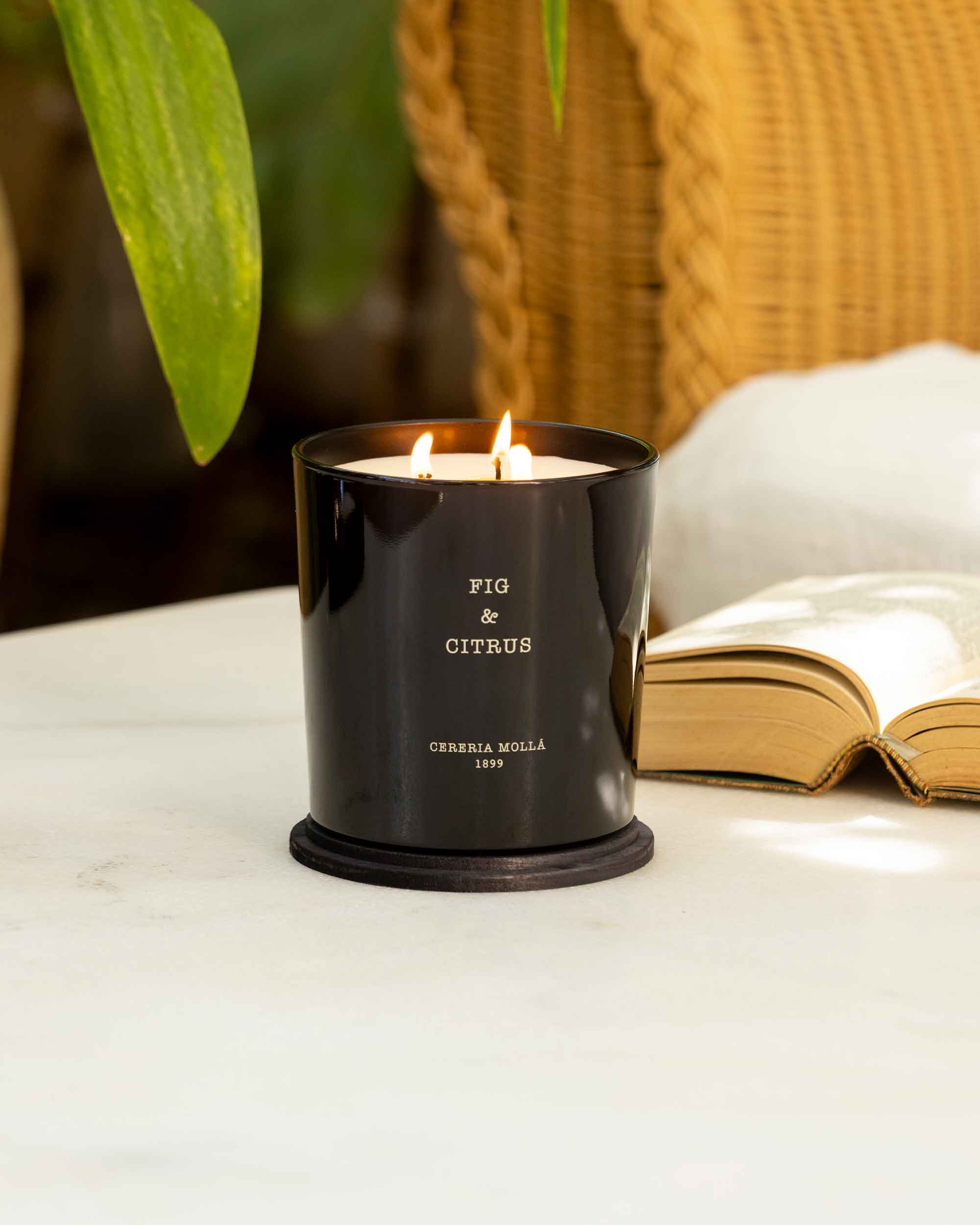 Fig & Citrus XL Candle