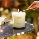 Verbena Di Sicilia XL Candle